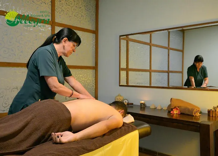 Hotel Allegra Balneo & 4*